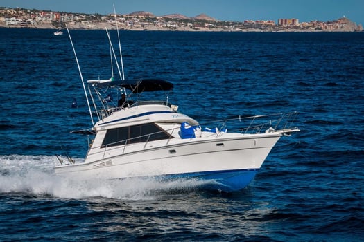 Boat photo for Cabo Luxury Fishing - 35' Riviera