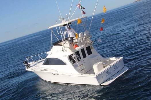 Boat photo for Cabo Luxury Fishing - 35' Riviera