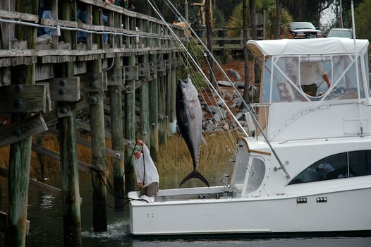 Boat photo for Hilton Head Nearshore Excursion