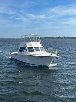 Boat photo for Grand PCB Offshore Trip- 45'