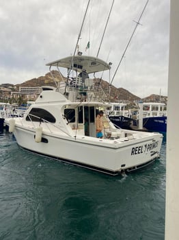 Boat photo for Cabo Offshore - 36'