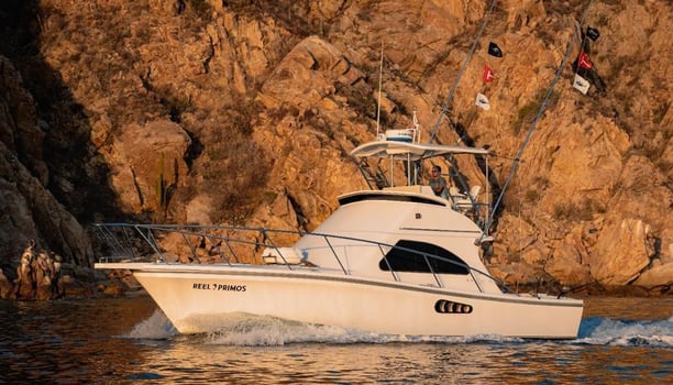 Boat photo for Cabo Offshore - 36'