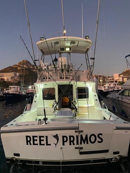 Boat photo for Cabo Offshore - 36'