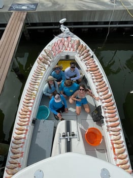 Boat photo for Hogfish Trip - 35' Contender