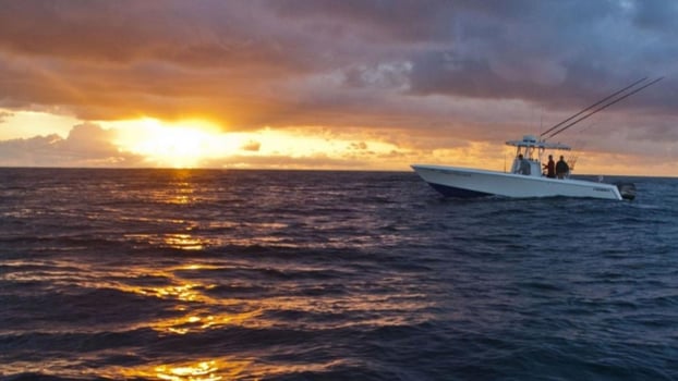 Boat photo for Night Fishing - 35’ Contender