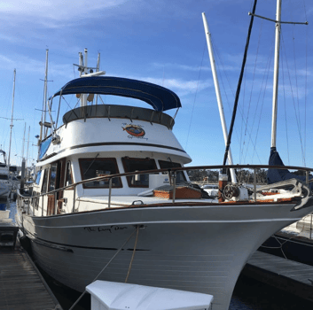 Boat photo for Local Excursion - 42’ Hershine