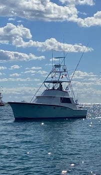 Boat photo for Big Game Shark Fishing