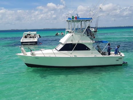 Boat photo for Deep Sea Fishing A/C & Box Lunch