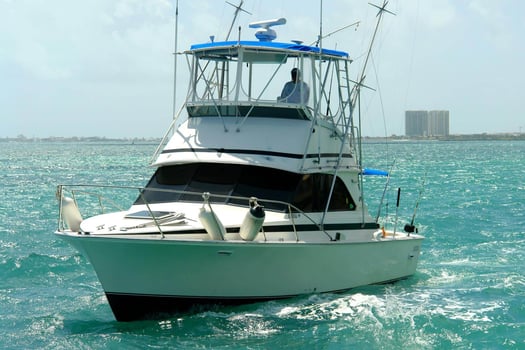 Boat photo for Deep Sea Fishing A/C & Box Lunch