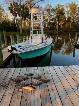 Boat photo for Half Day Shark Fishing