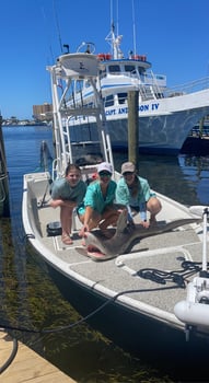Boat photo for Half Day Shark Fishing