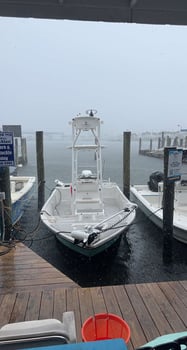 Boat photo for Half Day Shark Fishing