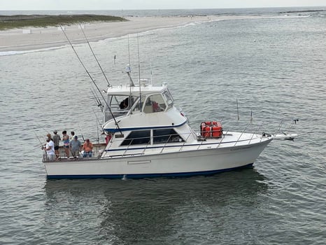 Boat photo for Orange Beach Half-Day Troll