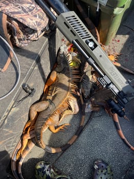 Boat photo for Exotics Airgun Hunt