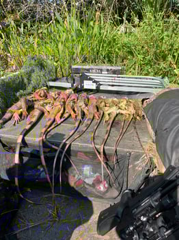 Boat photo for Exotics Airgun Hunt