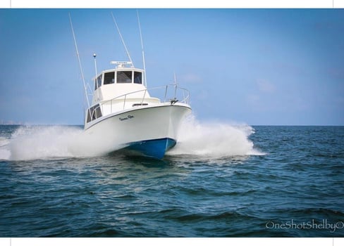 Boat photo for Luxury Quick Trip