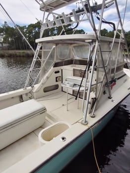 Boat photo for Federal Red Snapper Romp