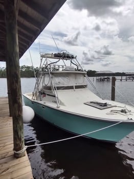 Boat photo for Federal Red Snapper Romp