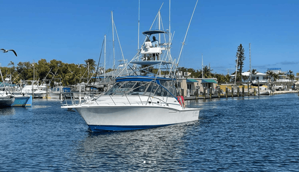 Boat photo for Key Largo Offshore Fishing
