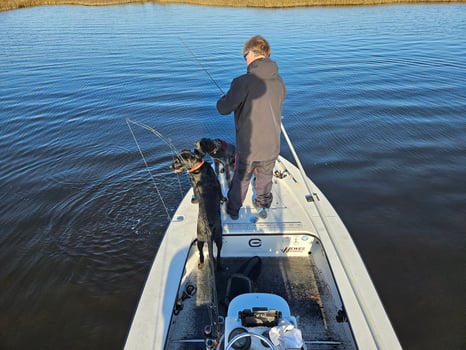 Boat photo for Backwater Sightfishing,  Fly/Spin