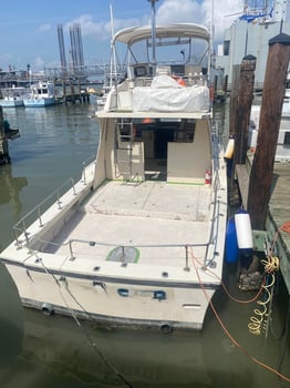 Boat photo for Taste Of Galveston Weekend