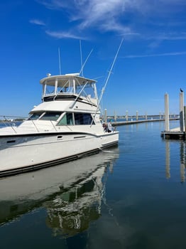 Boat photo for Ft.Morgan Ocean Rumble