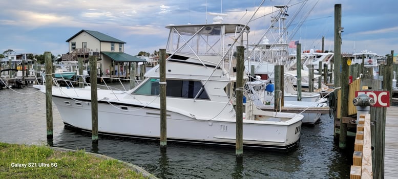 Boat photo for Offshore Adventure Gulf Shores