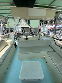 Boat photo for Half Day Adventure