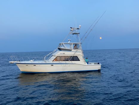 Boat photo for Full Day 8-12 Hours