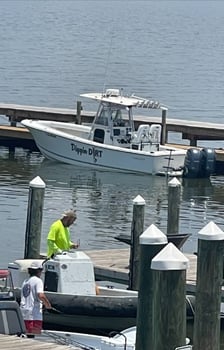 Boat photo for Snapper 6 Hr PM