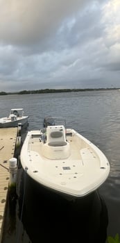 Boat photo for Tarpon & Snook - 22' Quick Bite