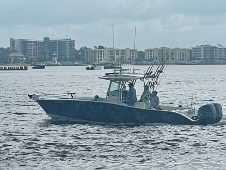 Boat photo for Orange Beach Fish Fight
