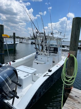 Boat photo for Orange Beach Fish Fight