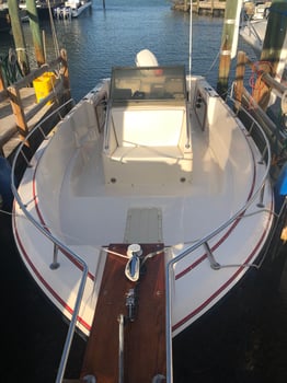 Boat photo for INSHORE AND BACKCOUNTRY 