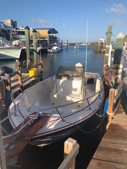 Boat photo for INSHORE AND BACKCOUNTRY 