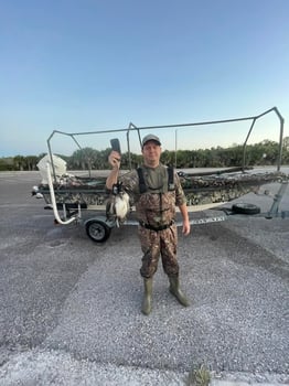 Boat photo for Duck Hunting Tampa Bay