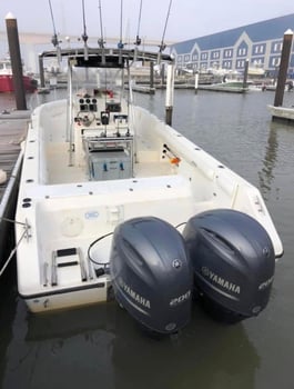 Boat photo for Freeport San Luis Beach Bay Fishing