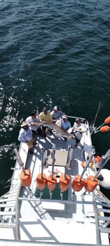 Boat photo for Alabama Shark Slam 31'