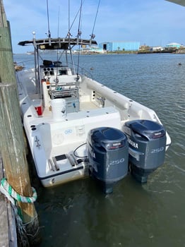 Boat photo for Deep Sea Offshore