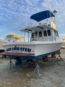 Boat photo for Biloxi Mixed Bag Trip