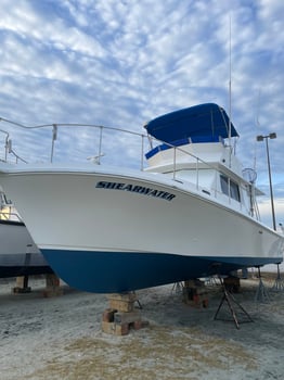 Boat photo for Biloxi Mixed Bag Trip