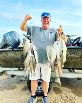 Boat photo for Trophy Crappie Fishing In North MS