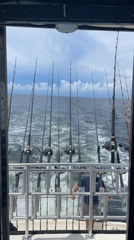 Boat photo for 6 Hour AM Bottom Fishing & Trolling