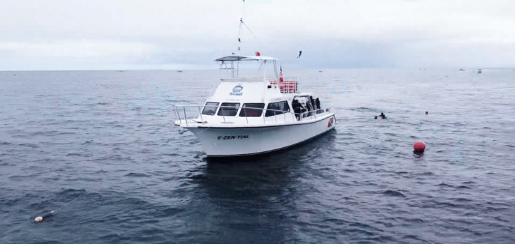 Boat photo for Lobster Diving Miami