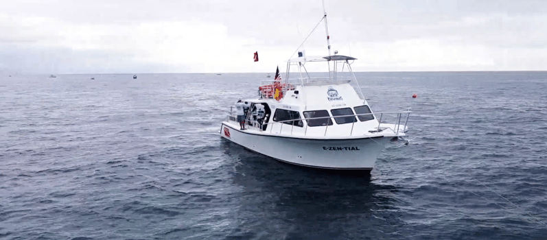 Boat photo for Lobster Diving Miami