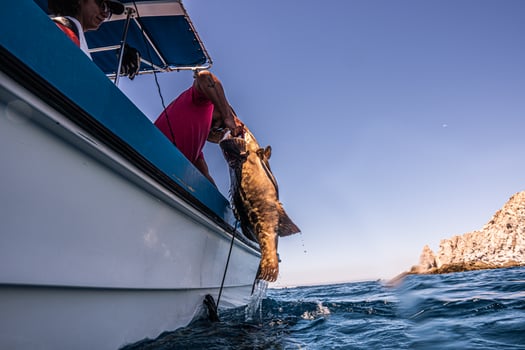 Boat photo for Spearfishing Baja