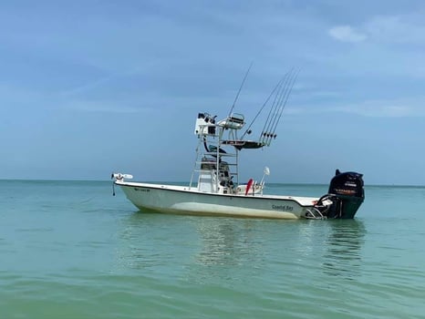 Boat photo for Tampa Bay Flats, Mangroves & Bay