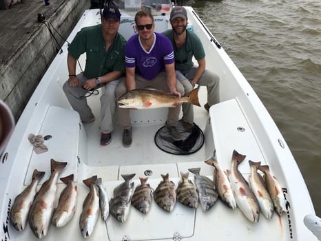 Boat photo for Inshore Venice