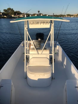 Boat photo for St Petersburg Inshore Fishing!!!