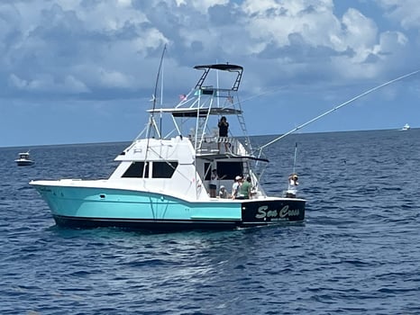 Boat photo for Luxury Off Shore Deep Sea Fishing